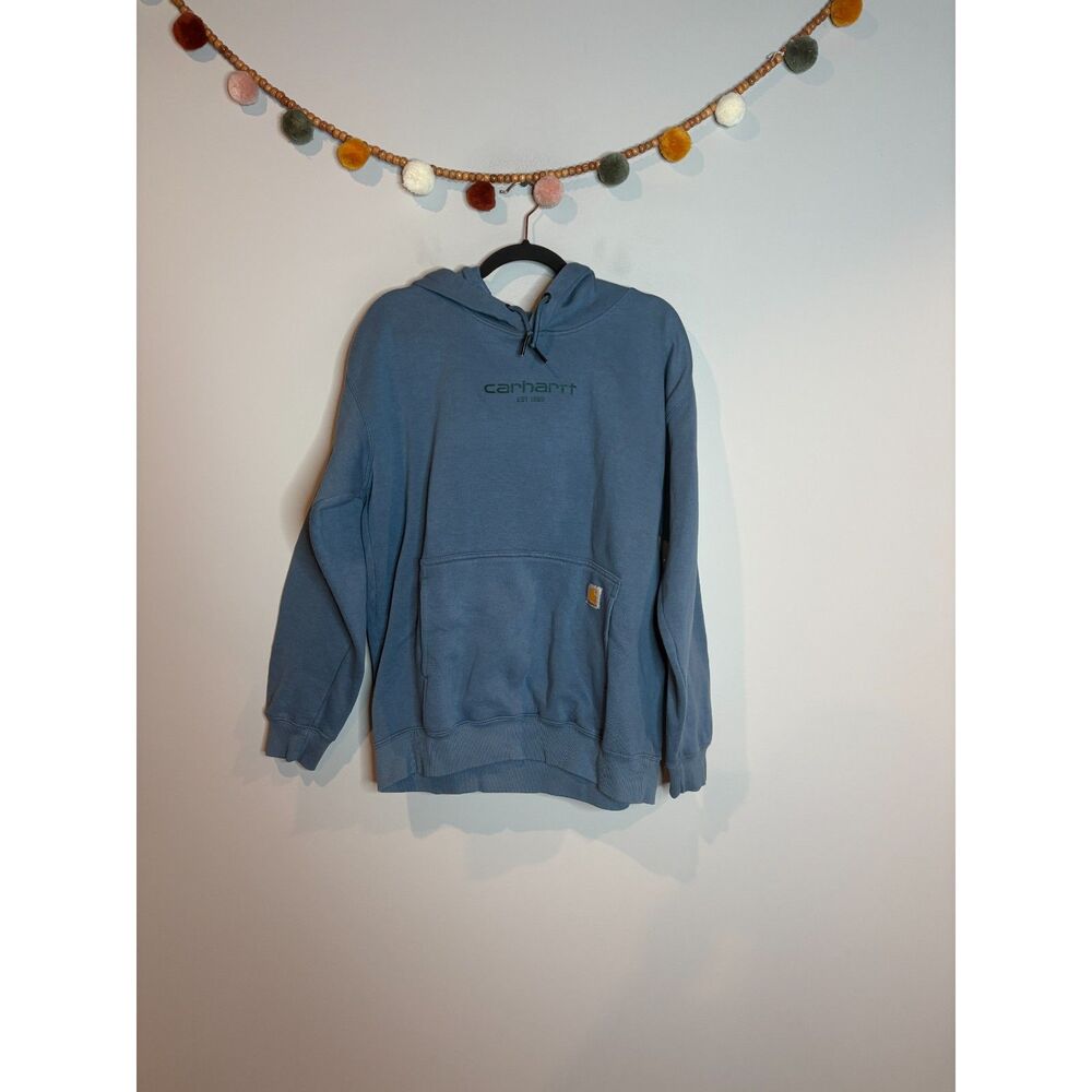 Carhartt Men's blue Relaxed Fit hoodie